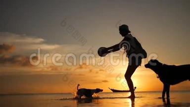 美丽的女孩与杰克拉塞尔<strong>狗</strong>在海滩玩球在惊人的日落。 泰国Koh Phangan。 <strong>高清高清</strong>